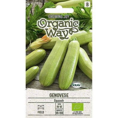 Zucchini 'Genovese'